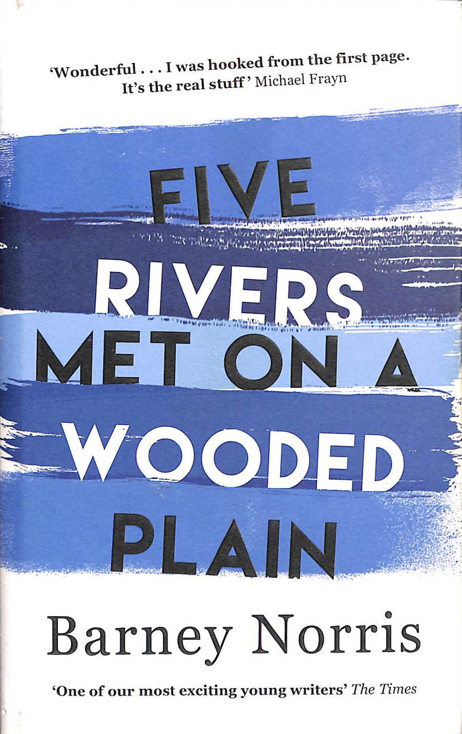 Five Rivers Met on a Wooded Plain