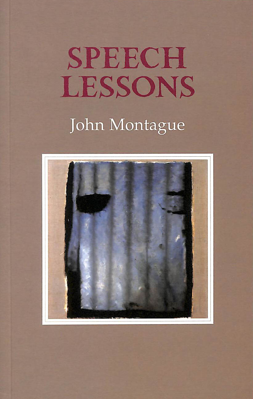 Speech Lessons