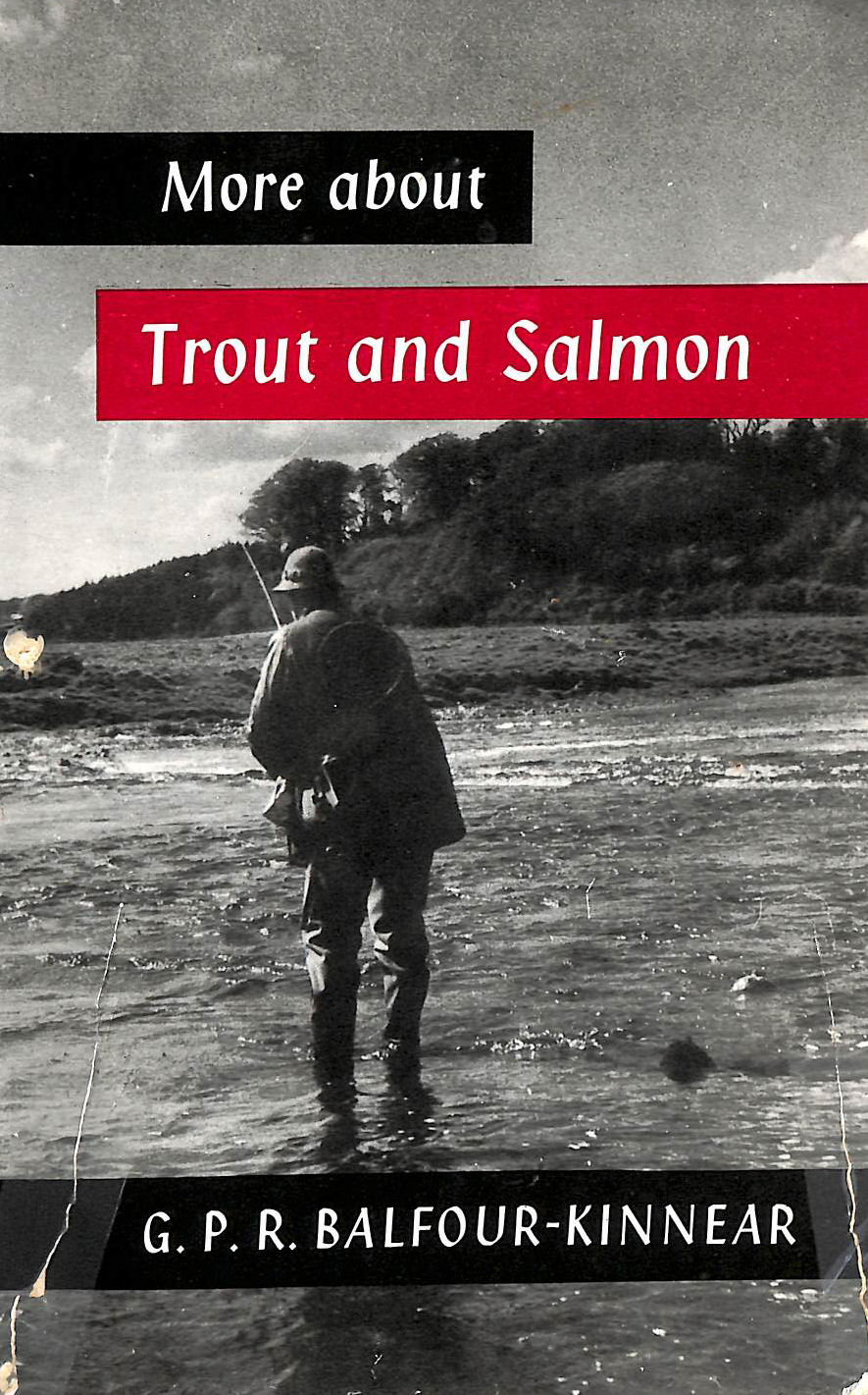 More About Trout And Salmon