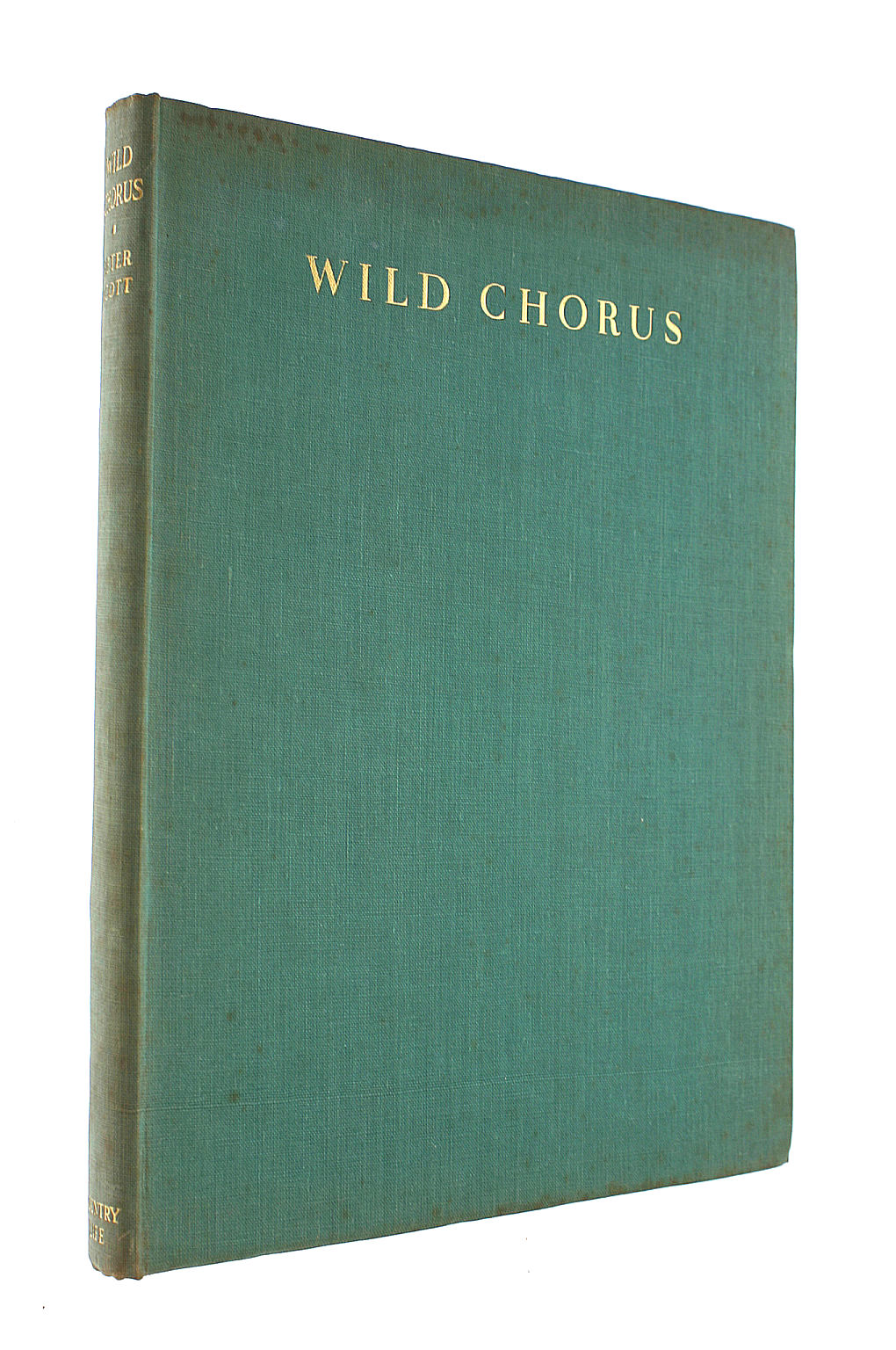 Wild Chorus