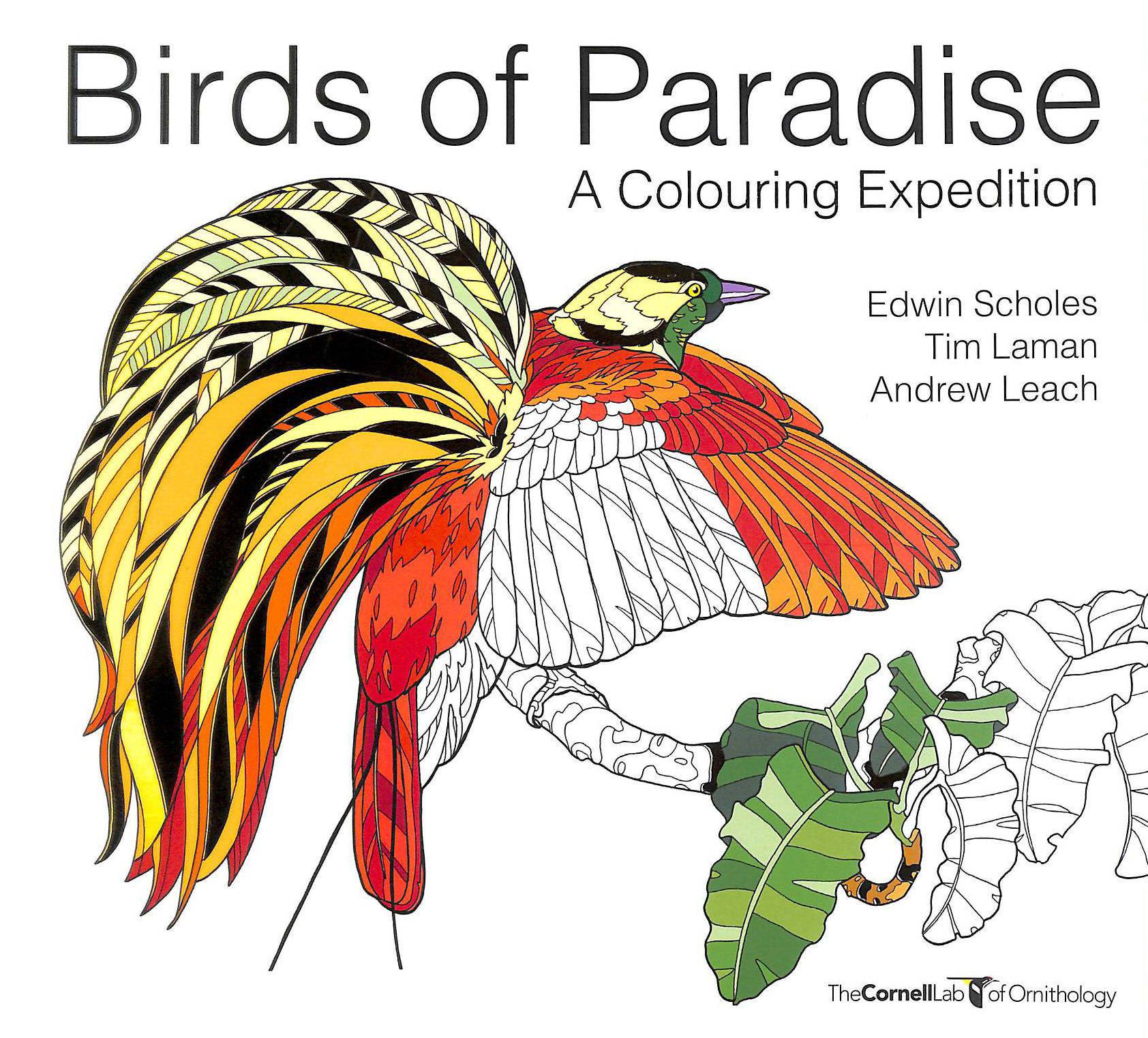 Birds of Paradise: A colouring expedition (Colouring Books)