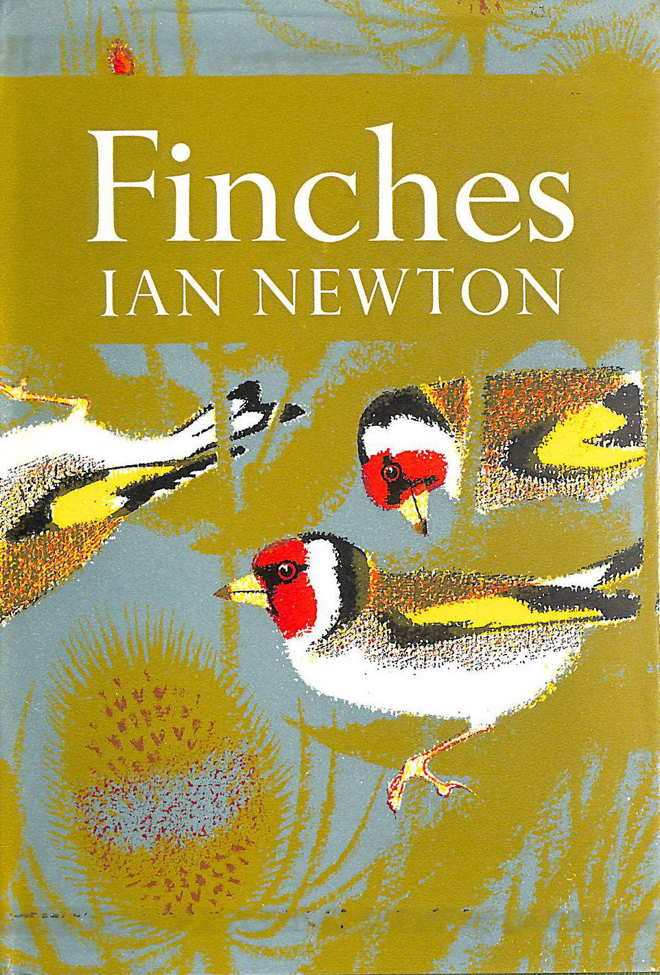 Finches (Collins New Naturalist)