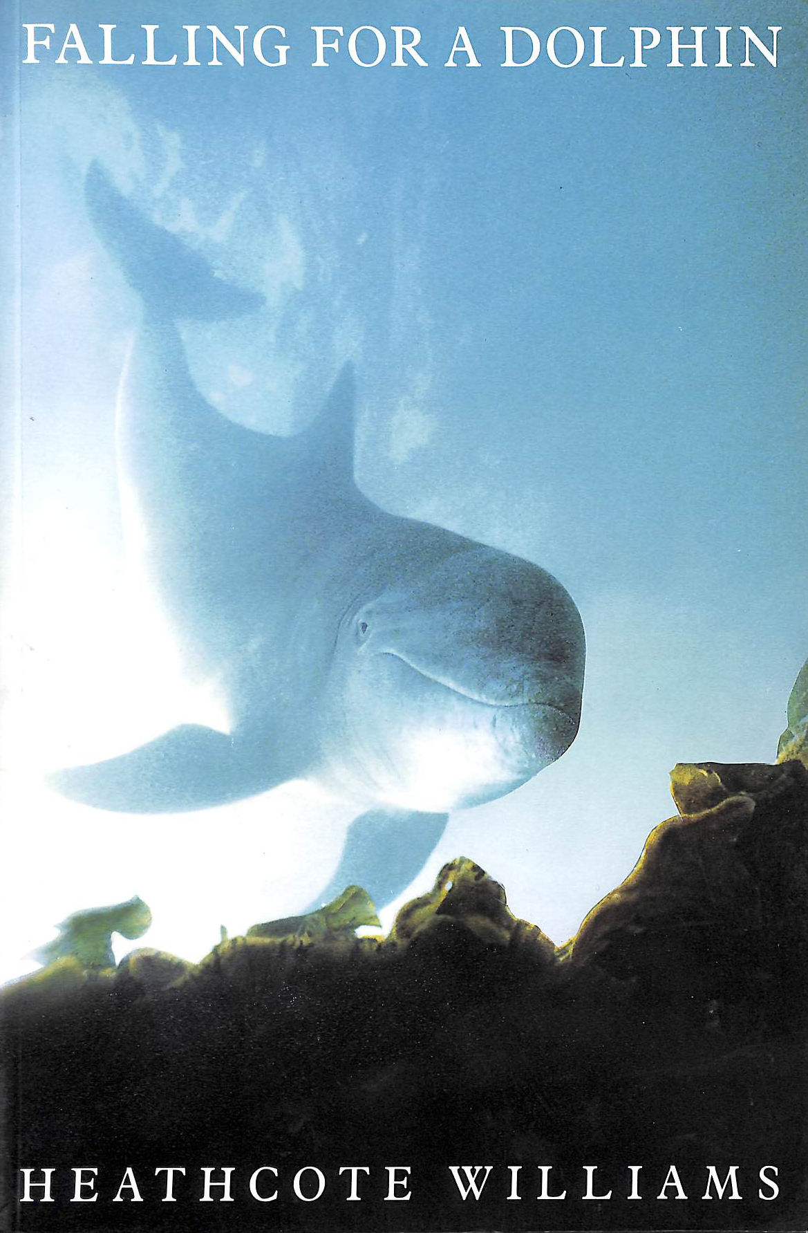 Falling for a Dolphin