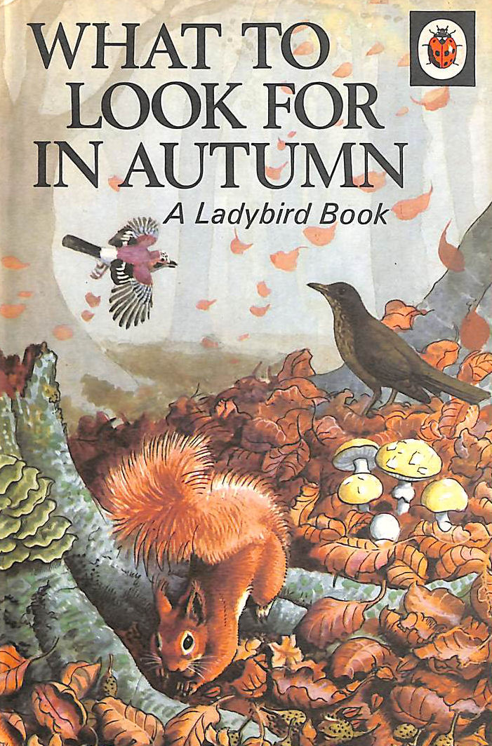 What to Look for in Autumn (Ladybird): 10