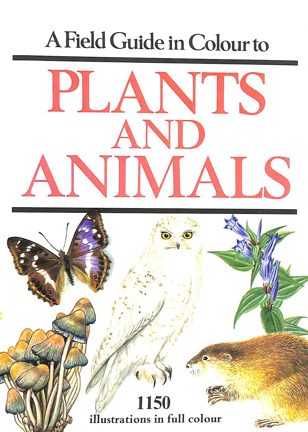 Field Guide in Colour: Plants and Animals