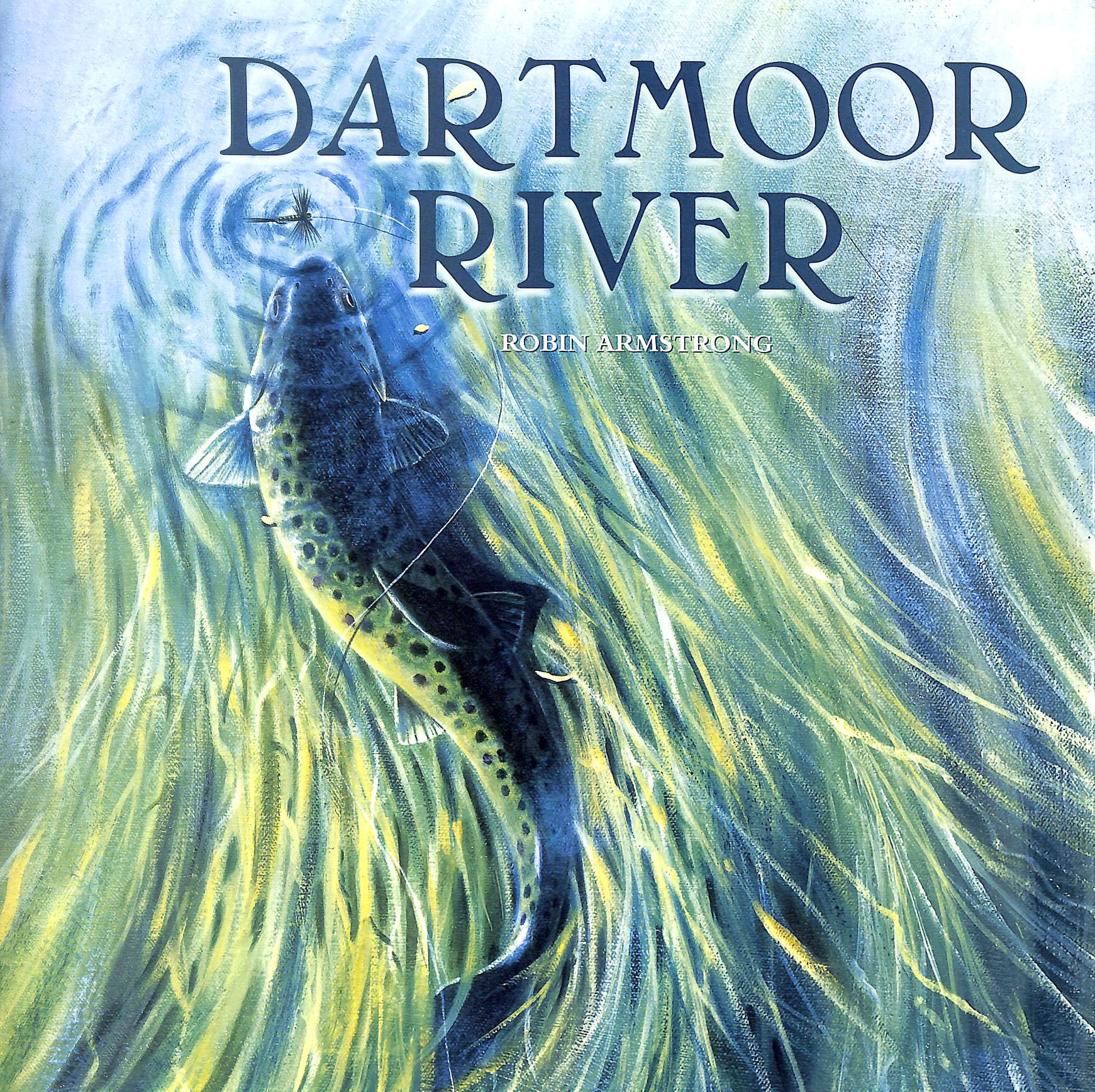 Dartmoor River