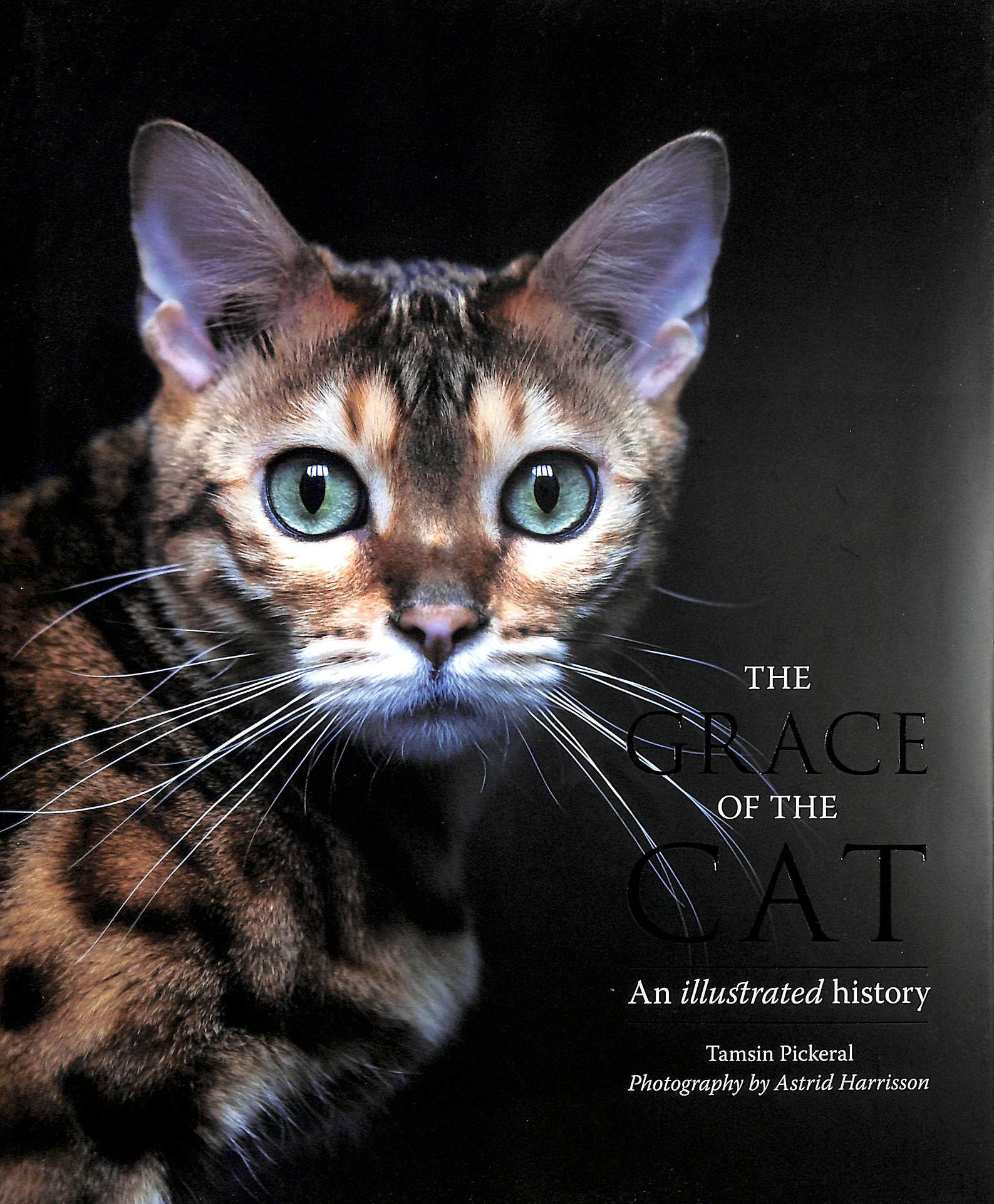 The Grace of the Cat: An Illustrated History