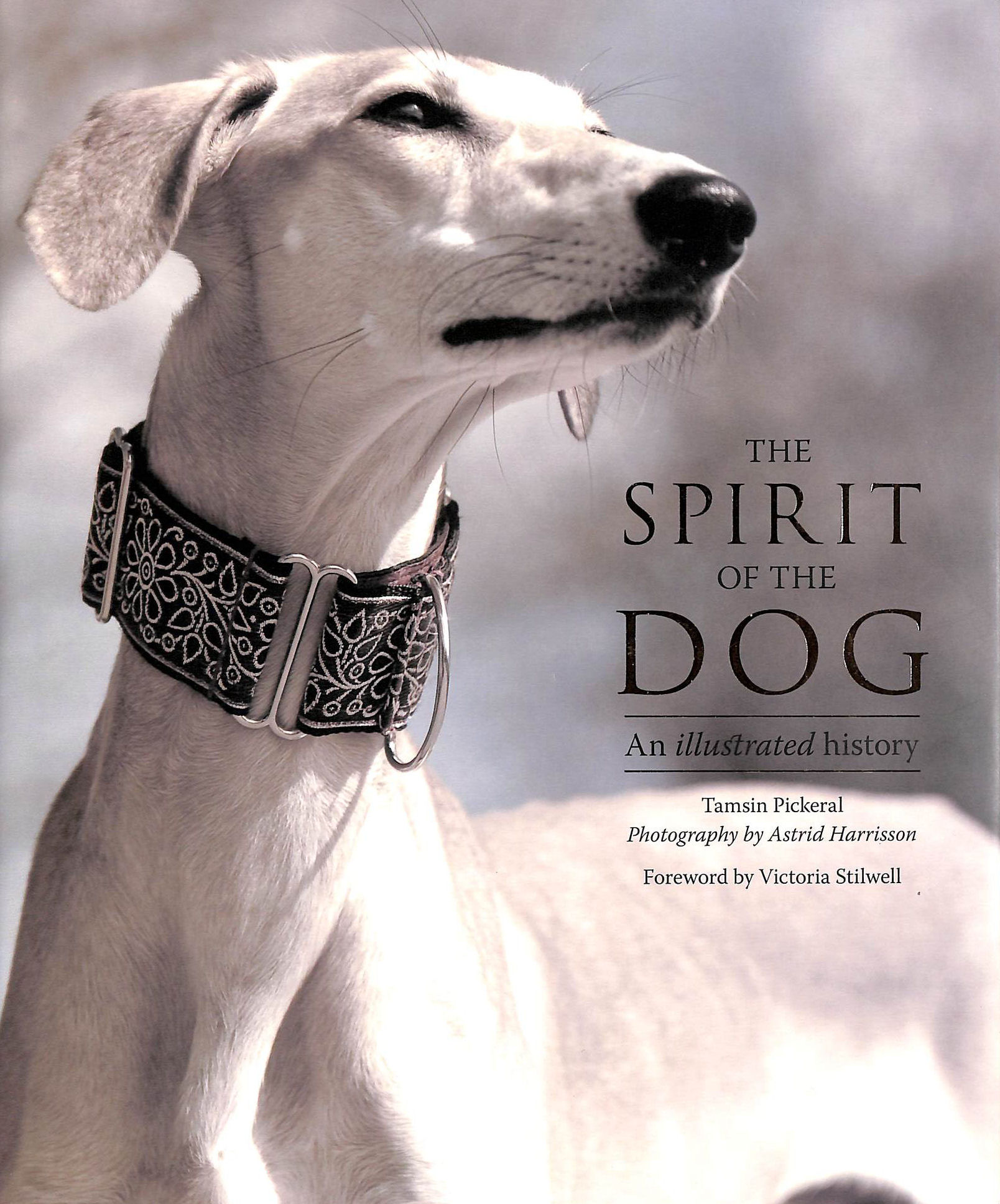 The Spirit of the Dog: An Illustrated History