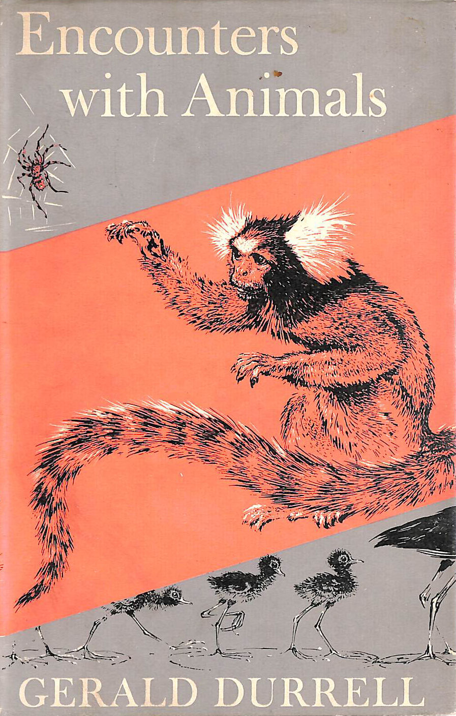 Encounters With Animals