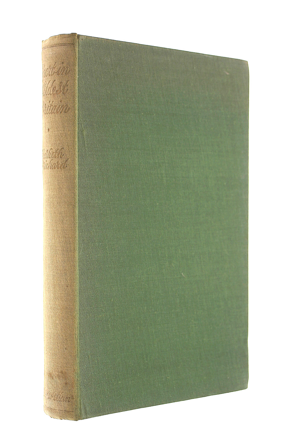 Sport In Wildest Britain