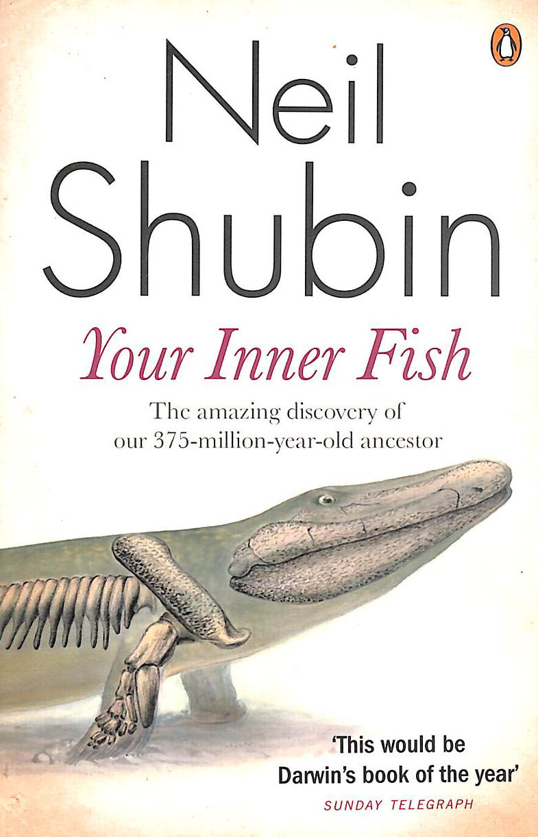 Your Inner Fish