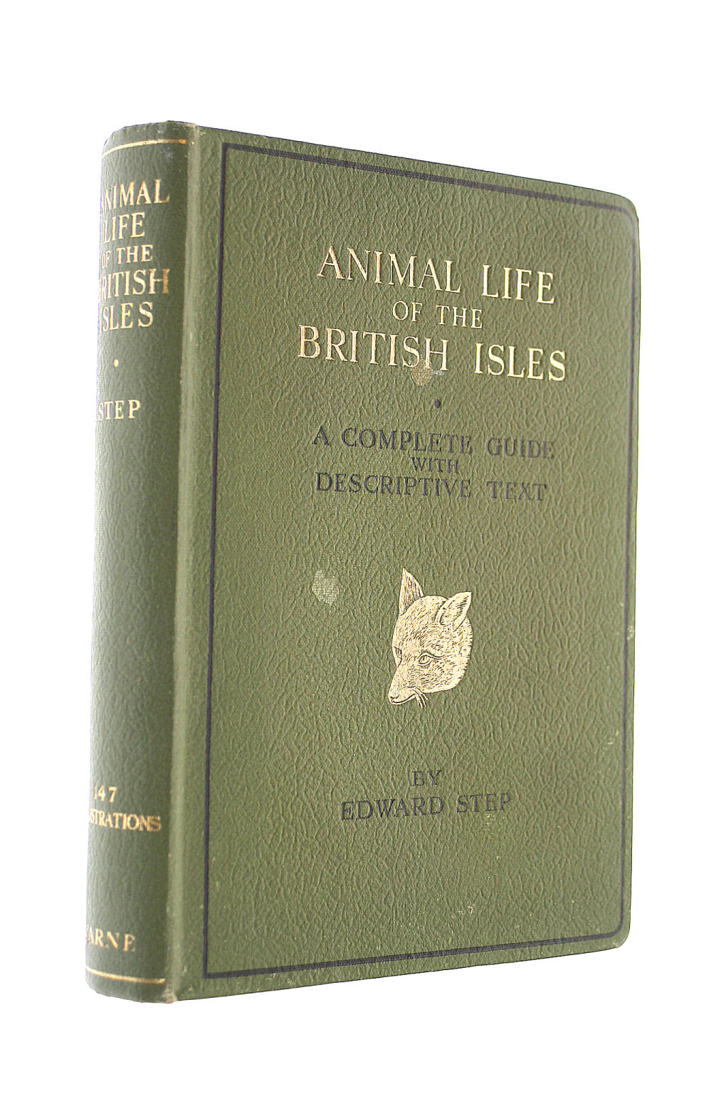 Animal Life Of The British Isles