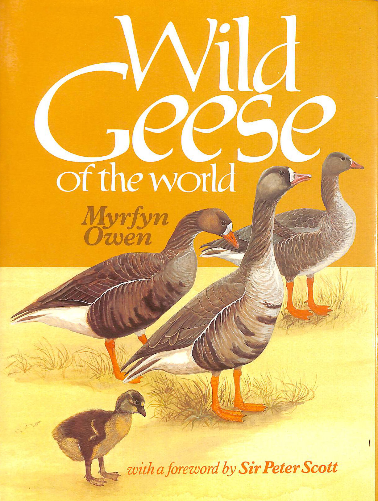 Wild Geese of the World