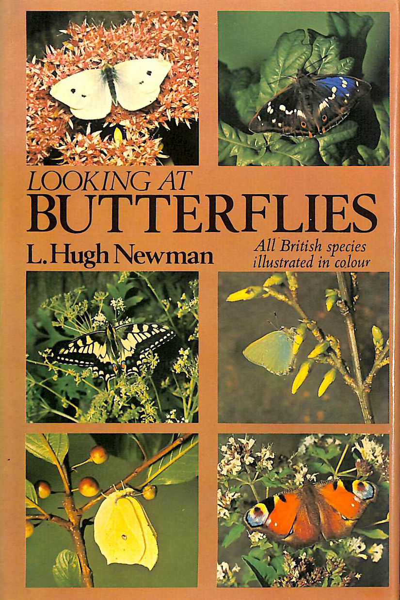 Looking at Butterflies