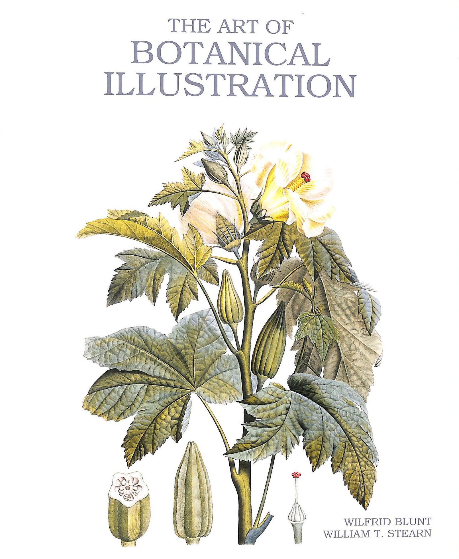 The Art of Botanical Illustration