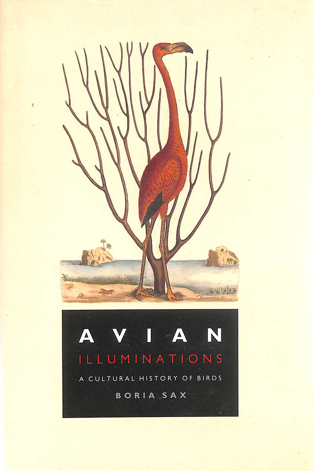 Avian Illuminations: A Cultural History of Birds