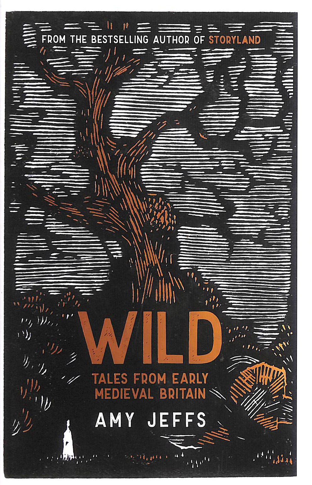 Wild: Tales from Early Medieval Britain from the Bestselling author of Storyland