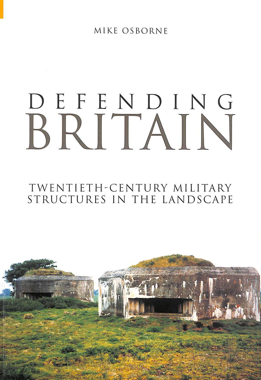 Defending Britain: Twentieth-Century Military Structures In The Landscape (Revealing History (Paperback))
