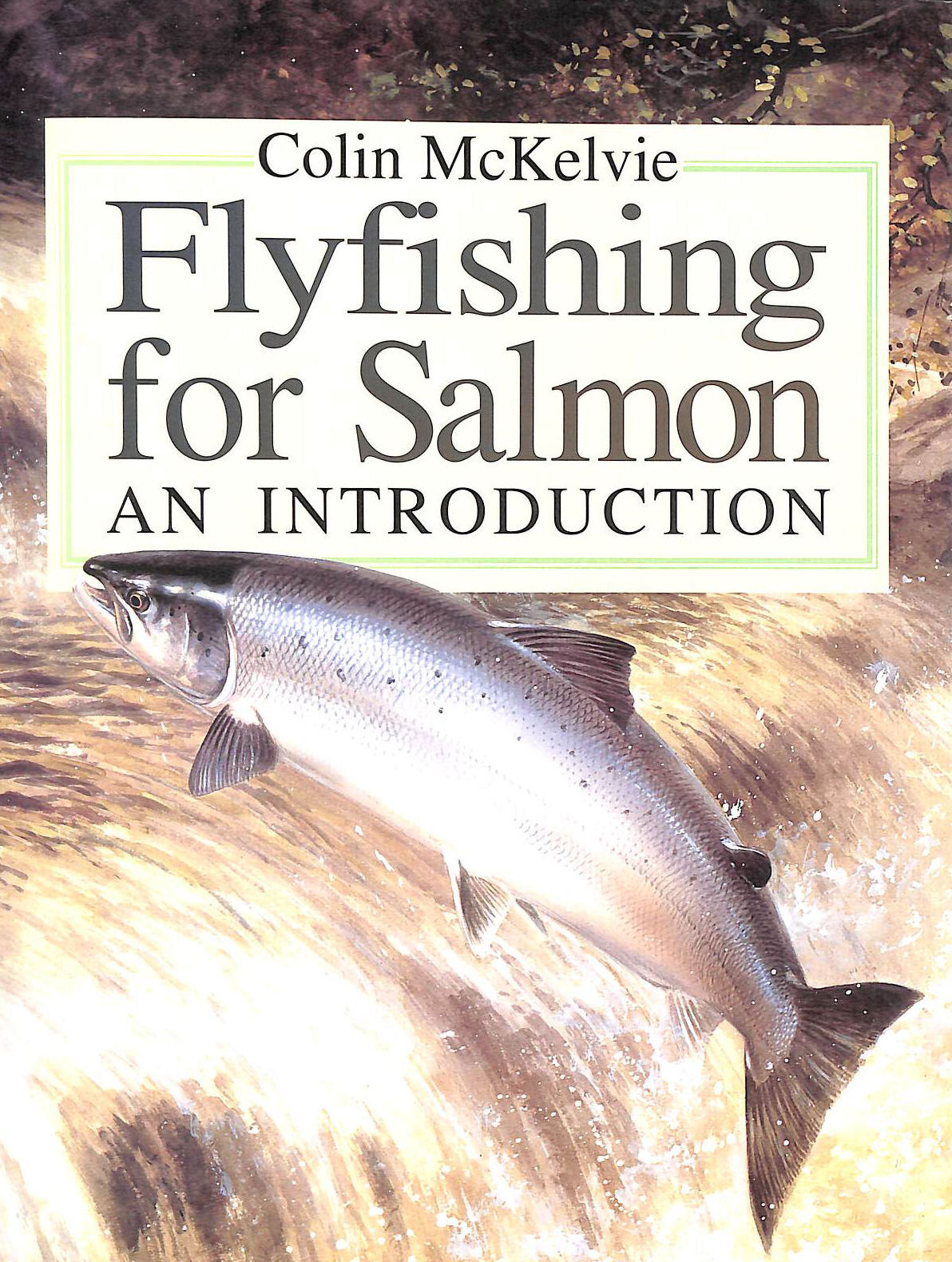 Fly Fishing for Salmon: An Introduction