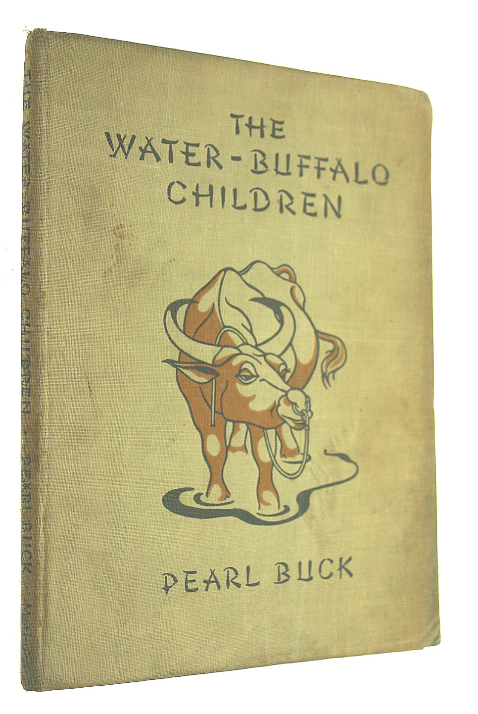 The Water-Buffalo Children