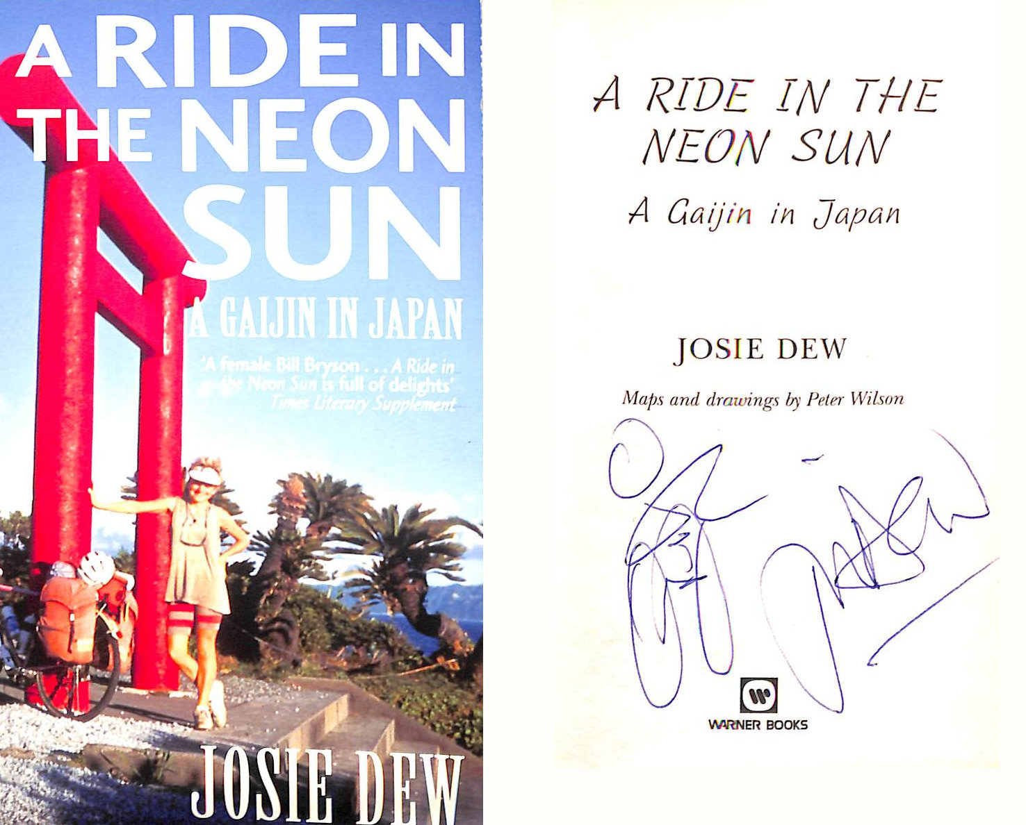 A Ride in the Neon Sun: A Gaijin in Japan