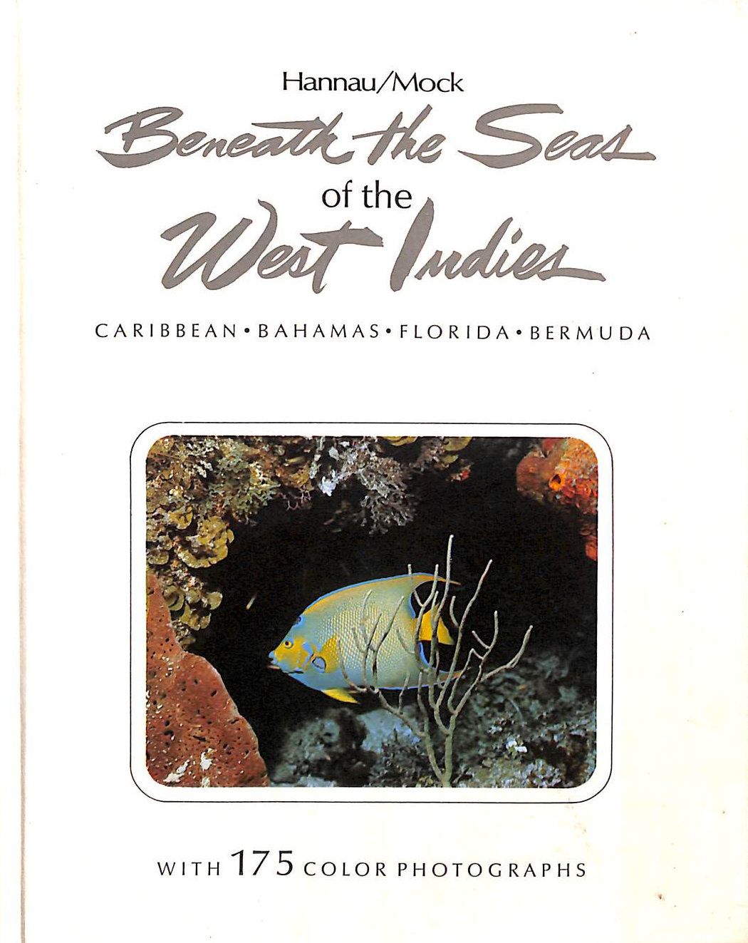 Beneath the Seas of the West Indies