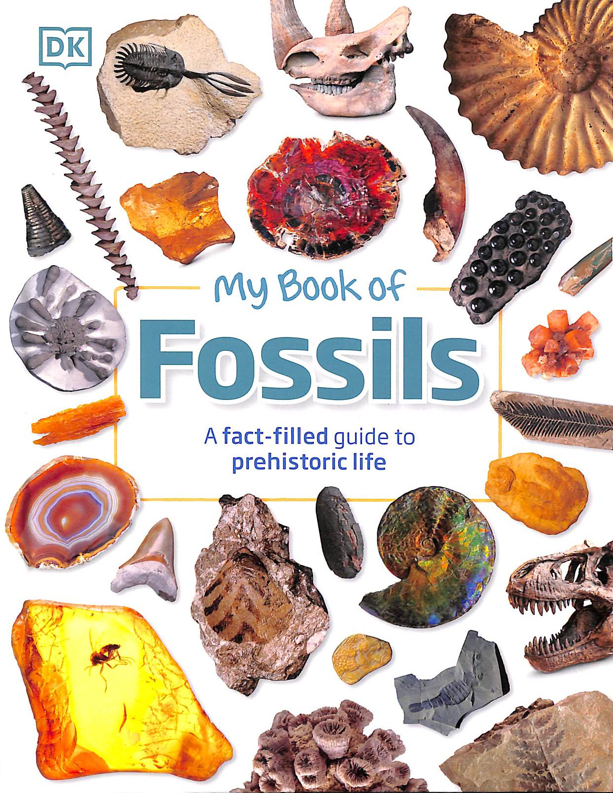 My Book of Fossils: A fact-filled guide to prehistoric life