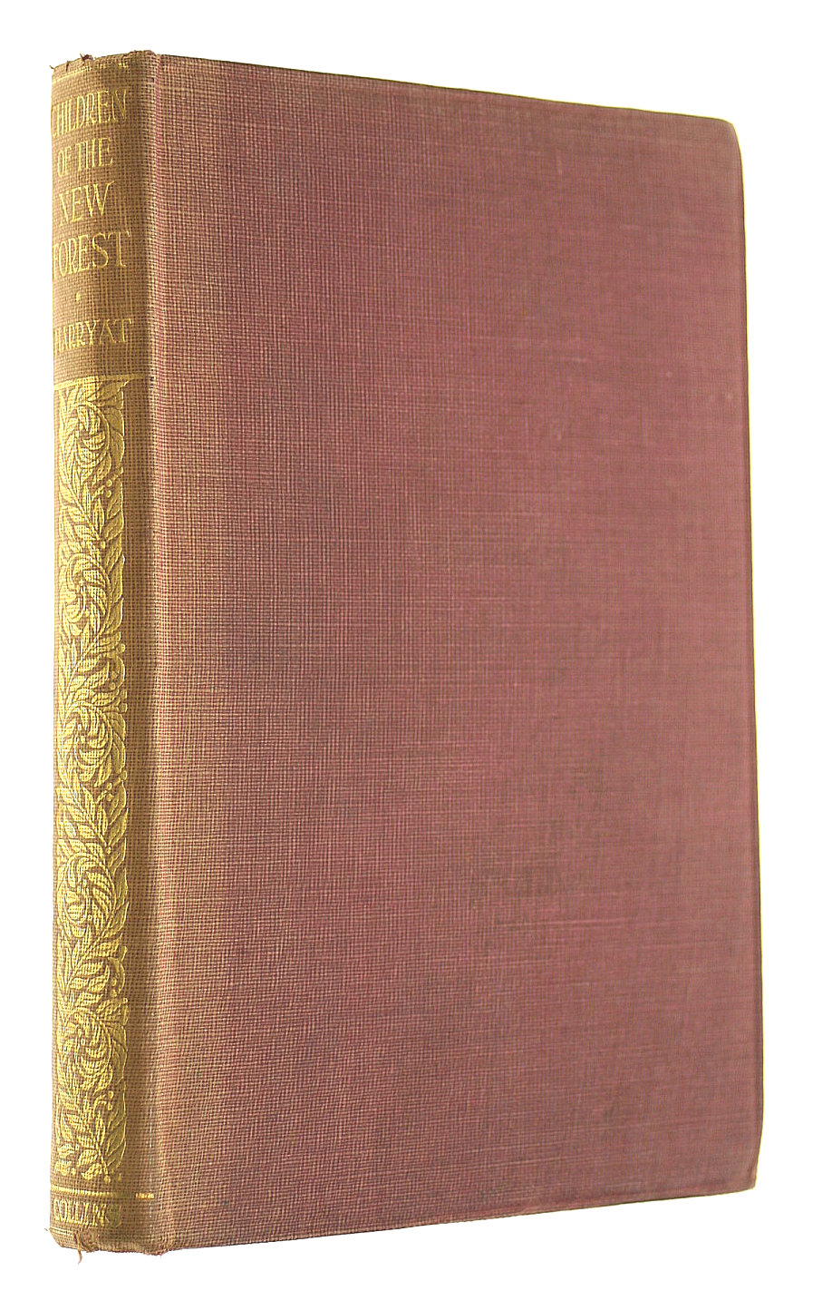 The Children of the New Forest