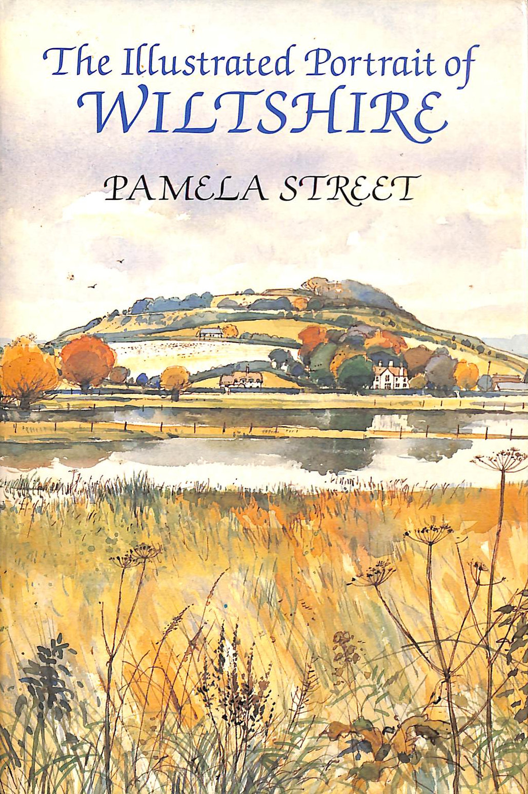 An Illustrated Portrait of Wiltshire (Portrait Series)