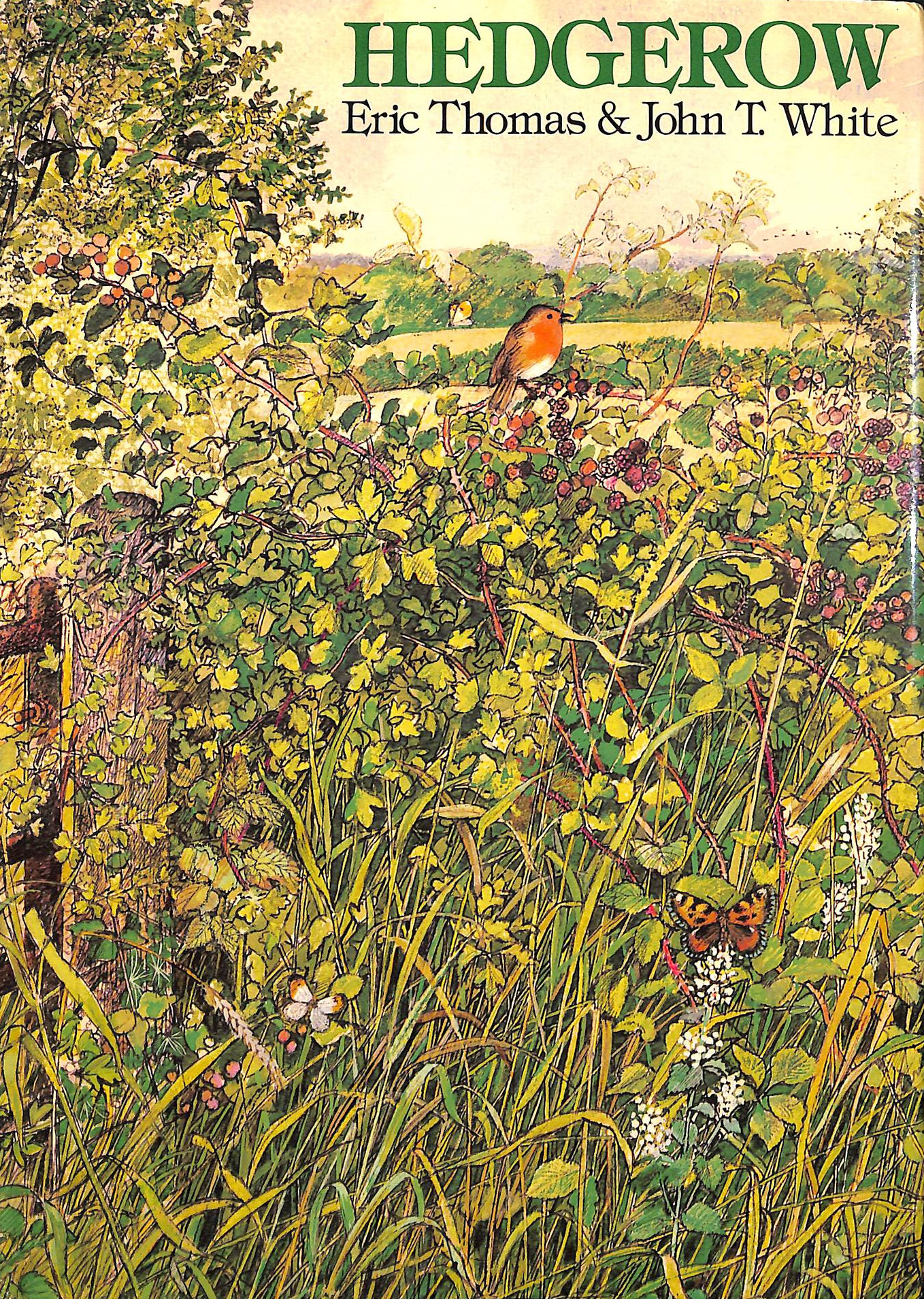 Hedgerow