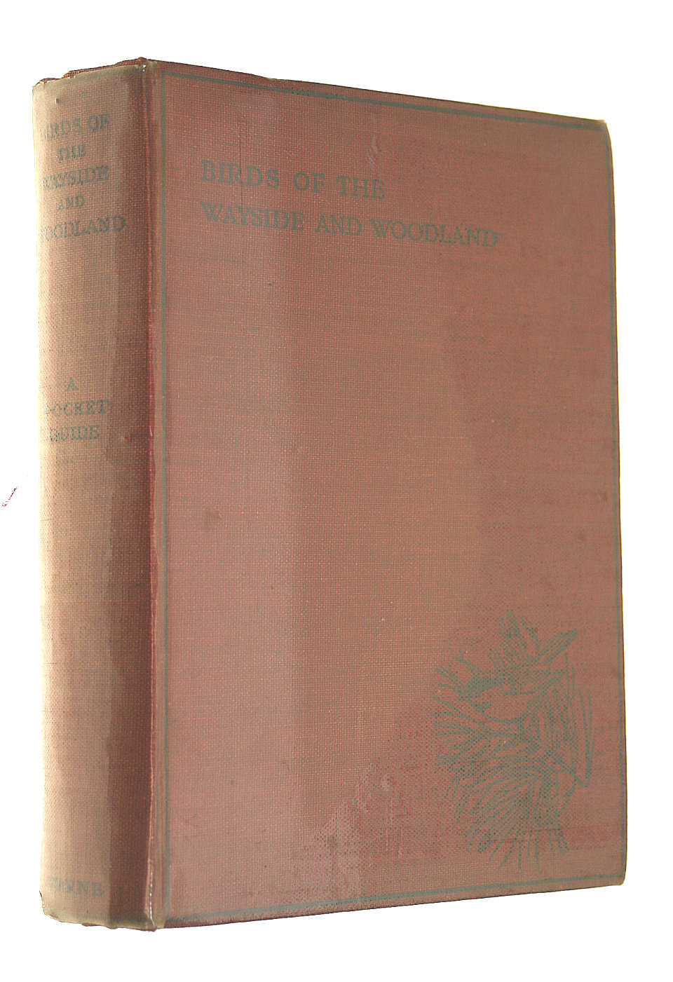 Birds of the Wayside and Woodland: Comprising a Descriptive History of the Families Corvidae to Tetraonidae, Based Upon the Standard Work the Birds of the British Isles Their Eggs (Wayside and Woodland Series)