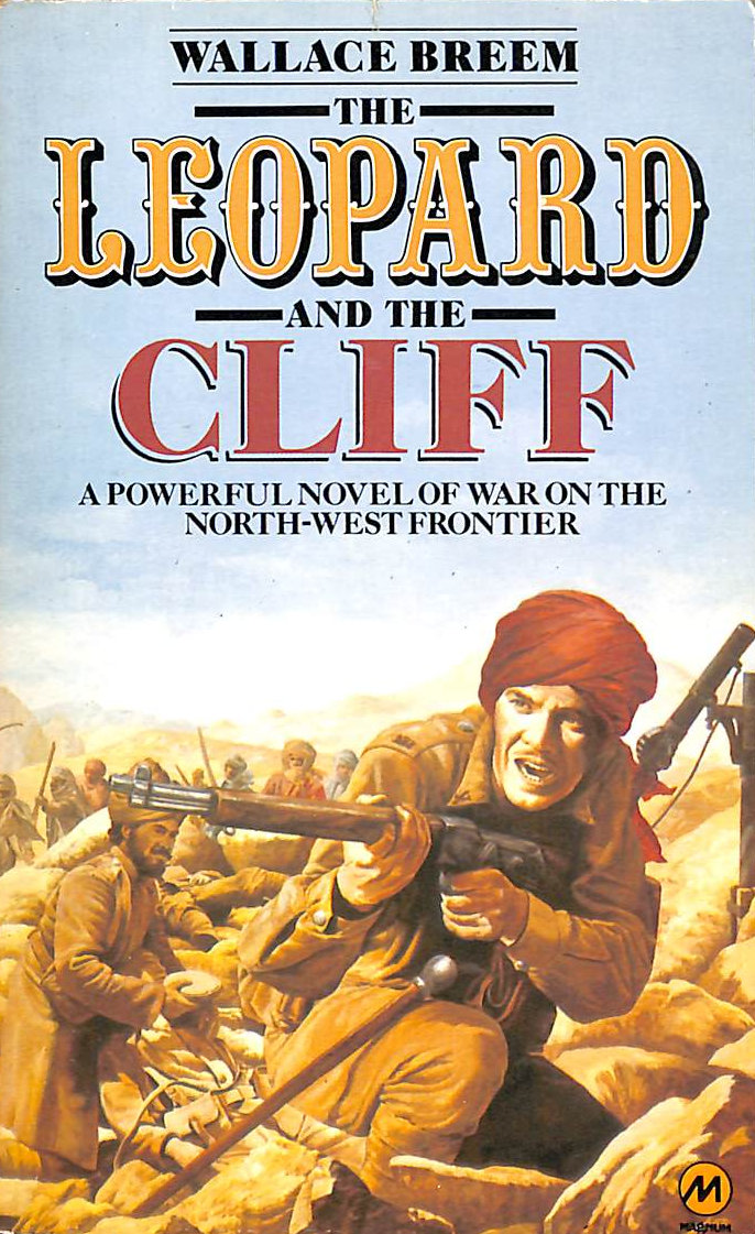 Leopard and the Cliff