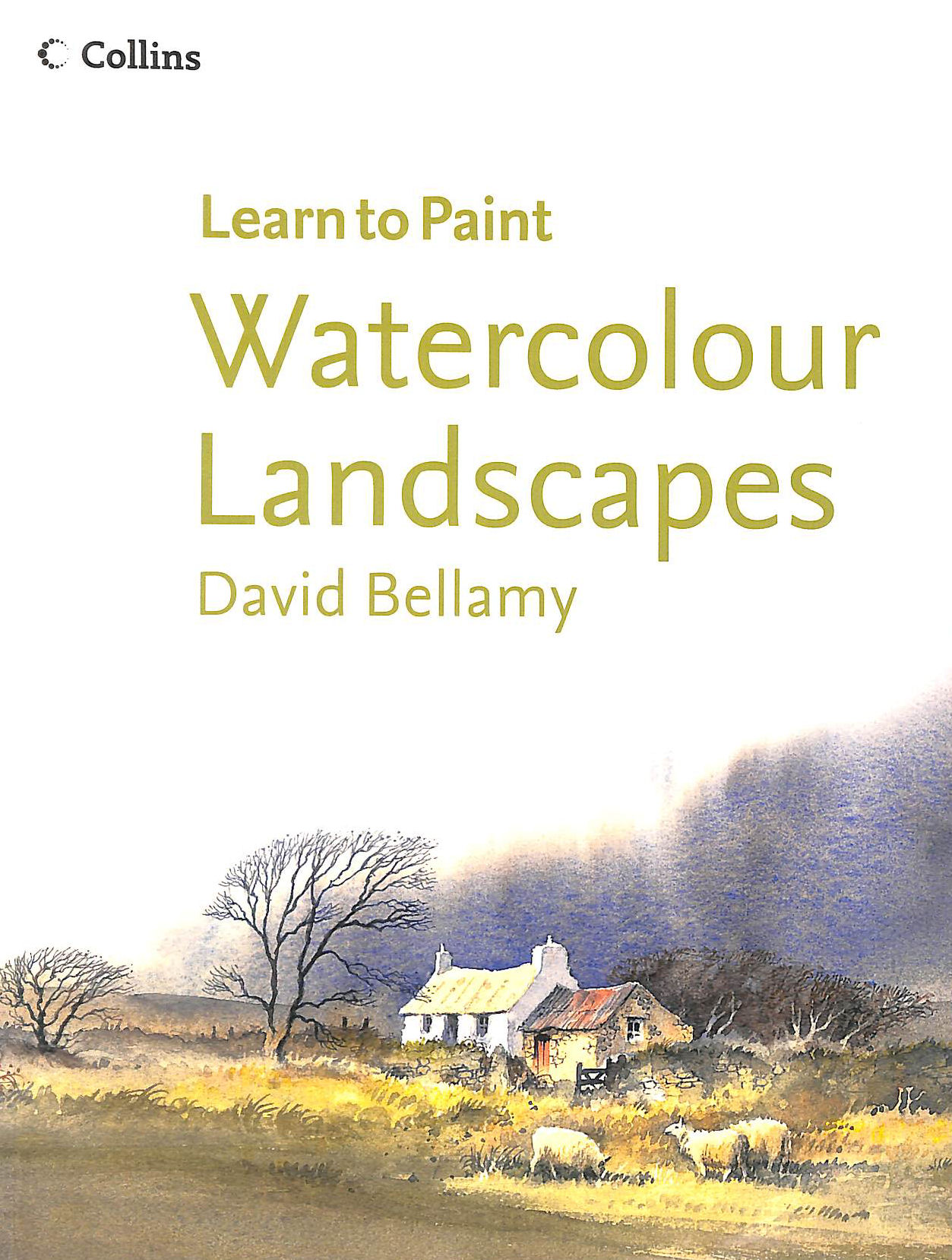 Watercolour Landscapes (Collins Learn to Paint)