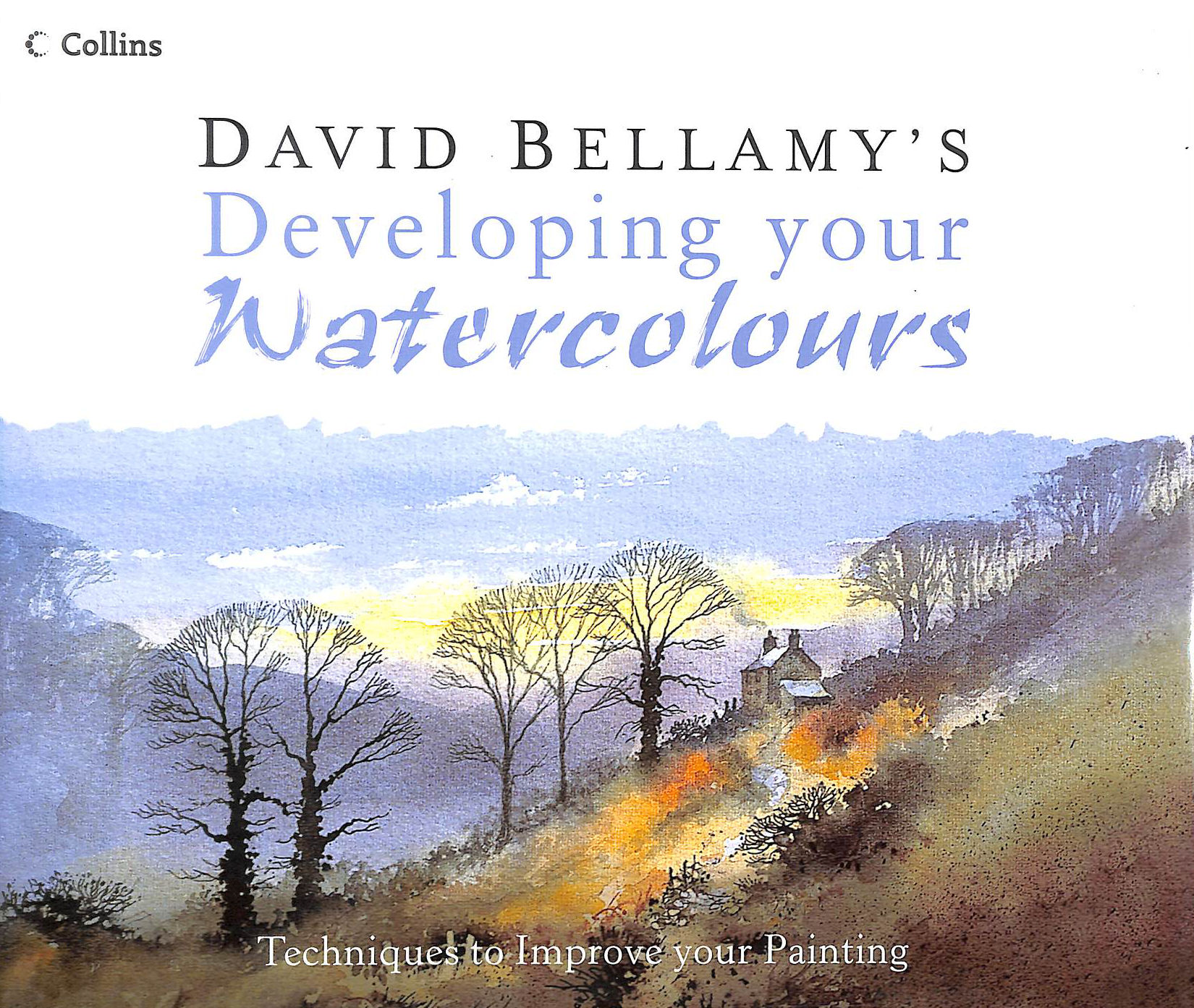 David Bellamy's Developing Your Watercolours