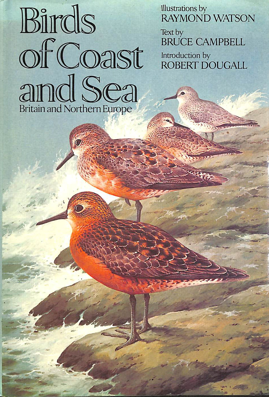 Birds of Coast and Sea: Britain and Northern Europe