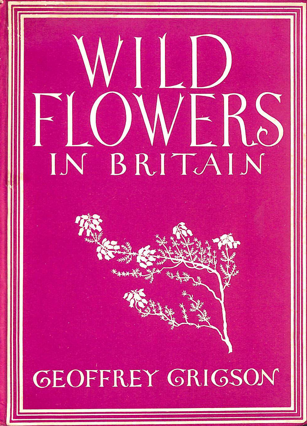 Wild Flowers in Britain
