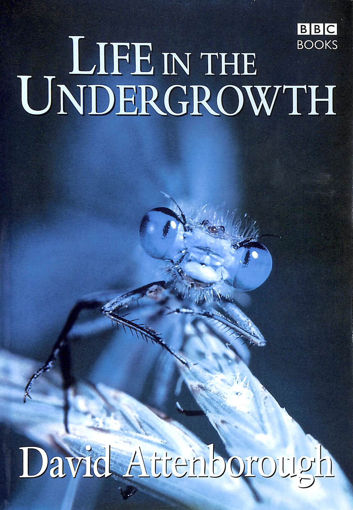 Life in the Undergrowth