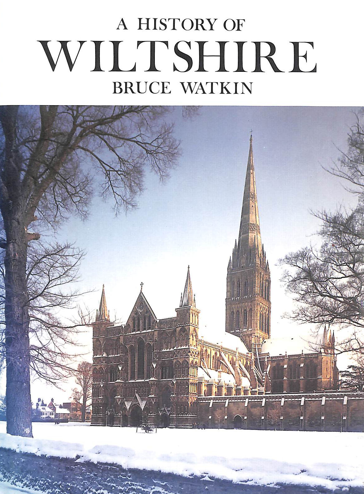 A History of Wiltshire (Darwen county histories)