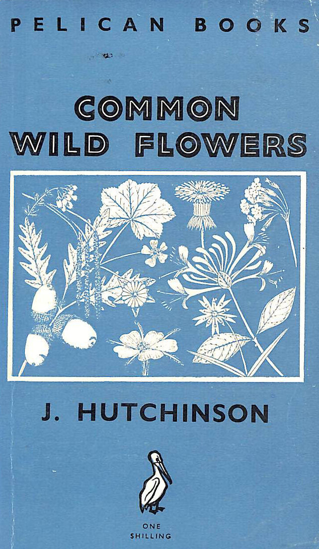 Common Wild Flowers. With 216 Illustrations