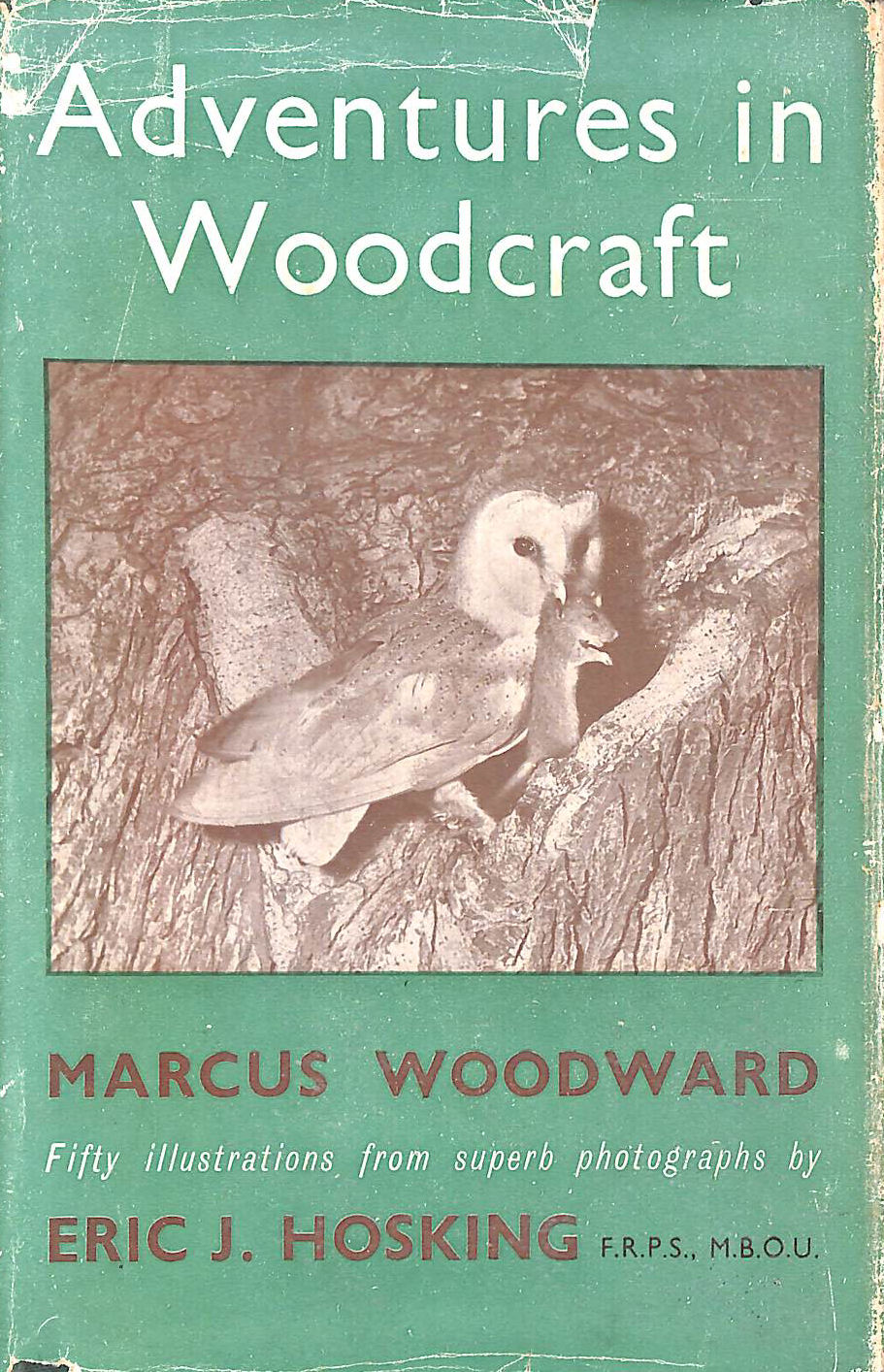 Adventures in Woodcraft