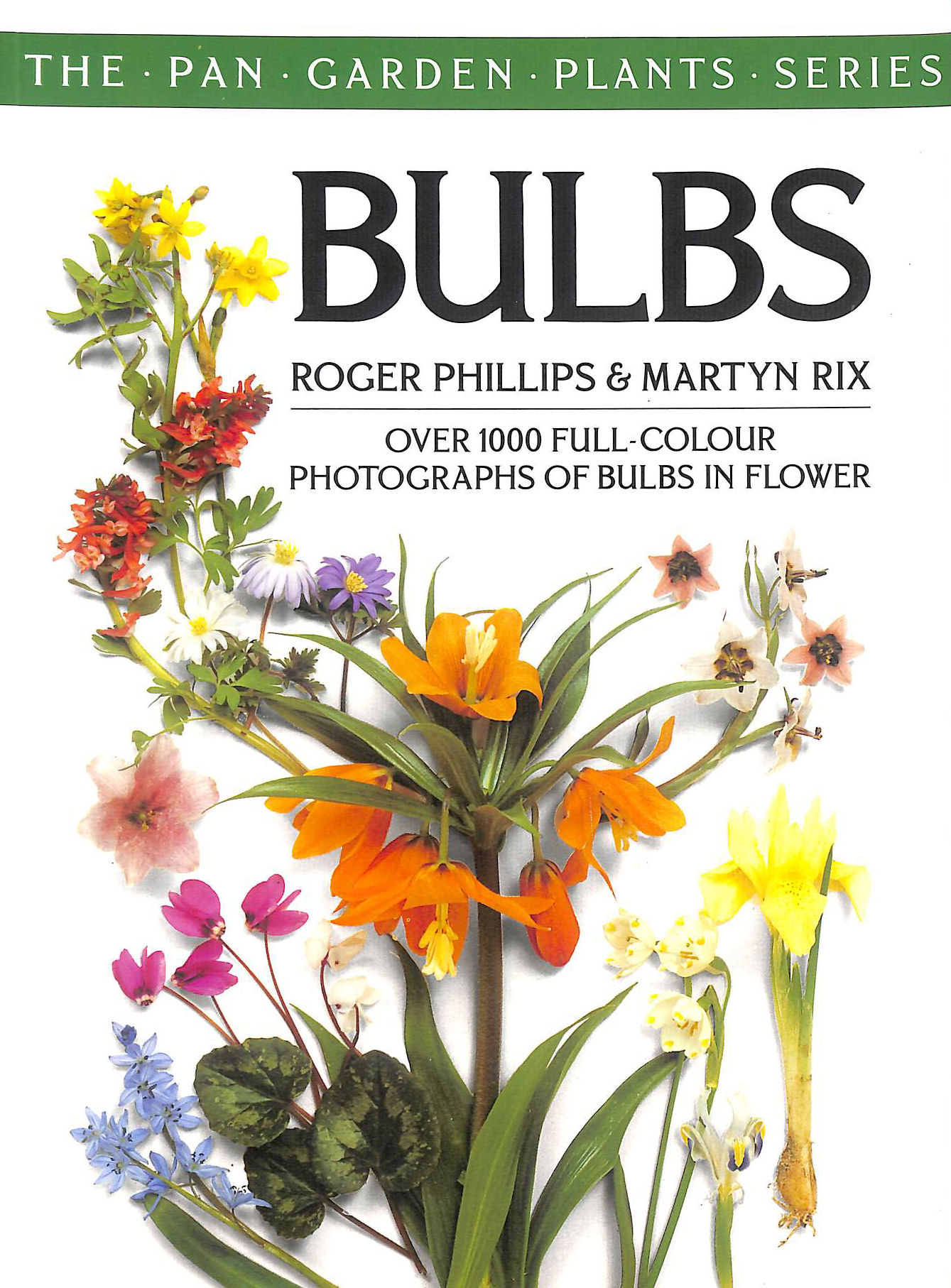 Bulbs