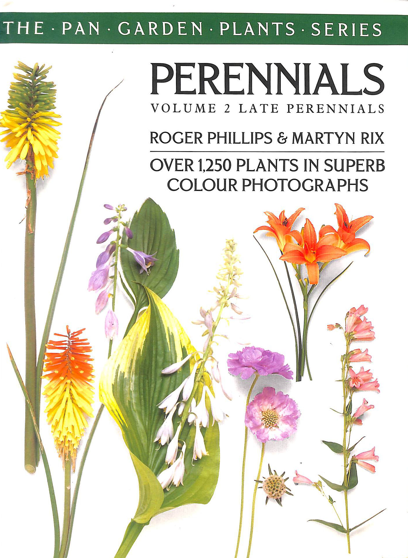 Perennials: Volume 2: Late Perennials