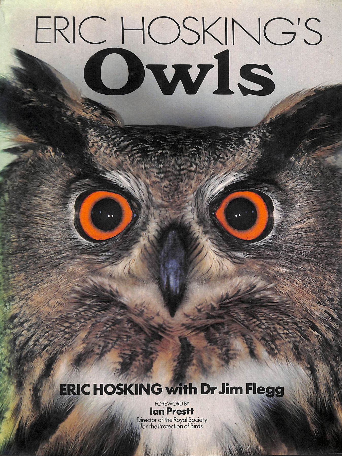 Eric Hosking's Owls