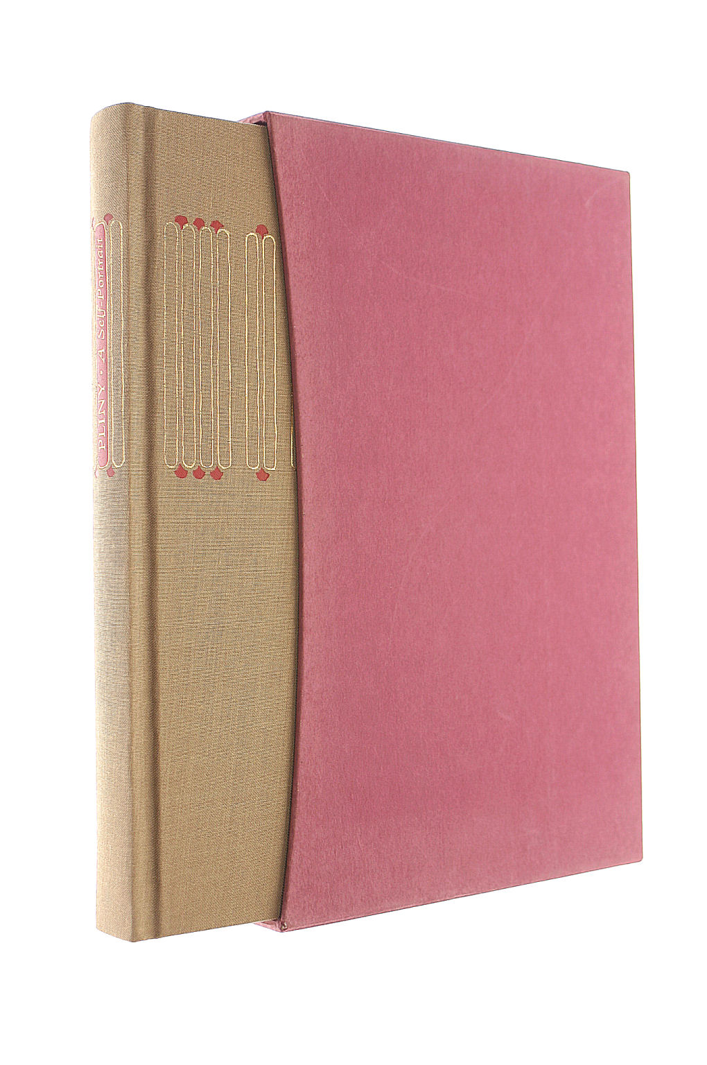 Pliny, A Self-Portrait