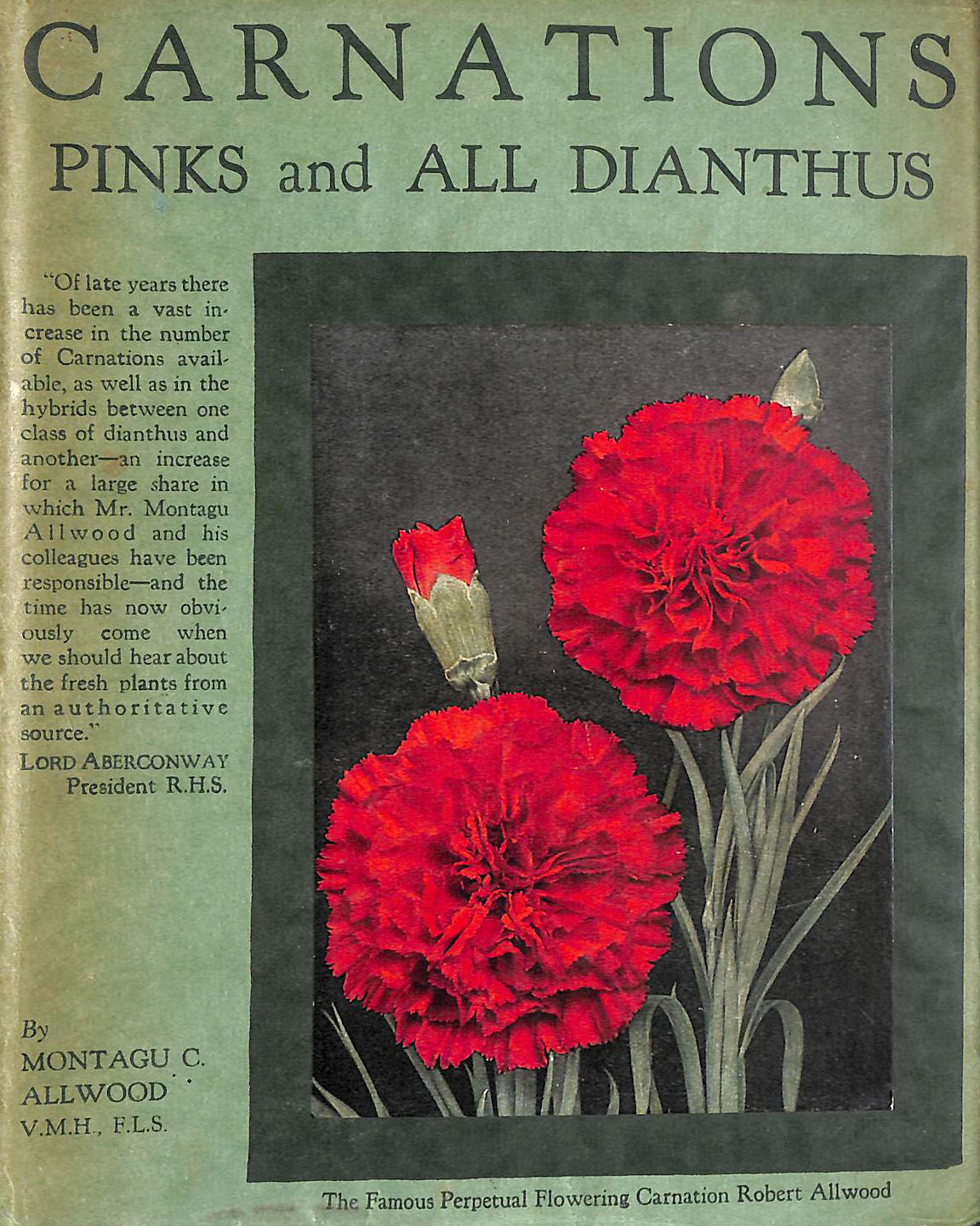 Carnations, pinks and all Dianthus