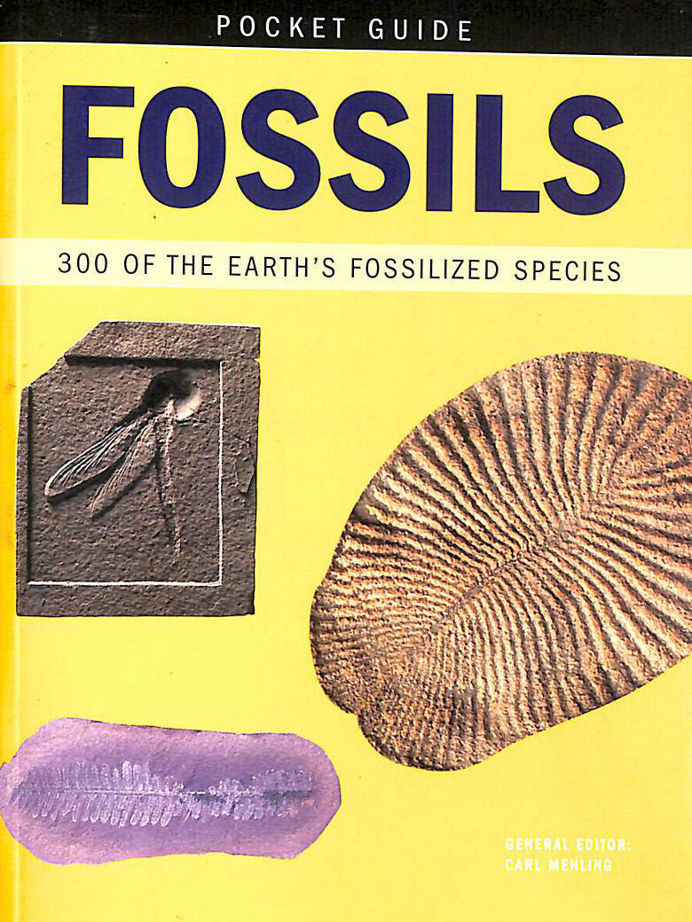 Fossils (Pocket Guides)