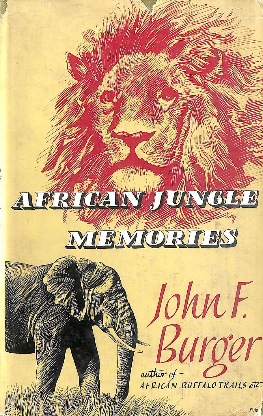 African Jungle Memories