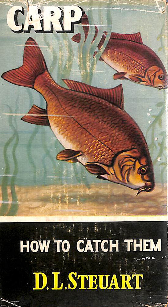 Invasion of the Moon, 1969: Story of Apollo 11