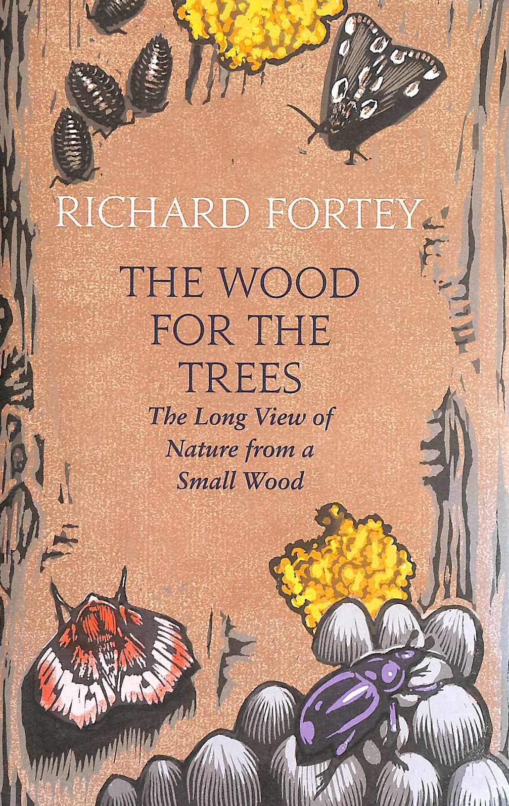 The Wood for the Trees: The Long View of Nature from a Small Wood