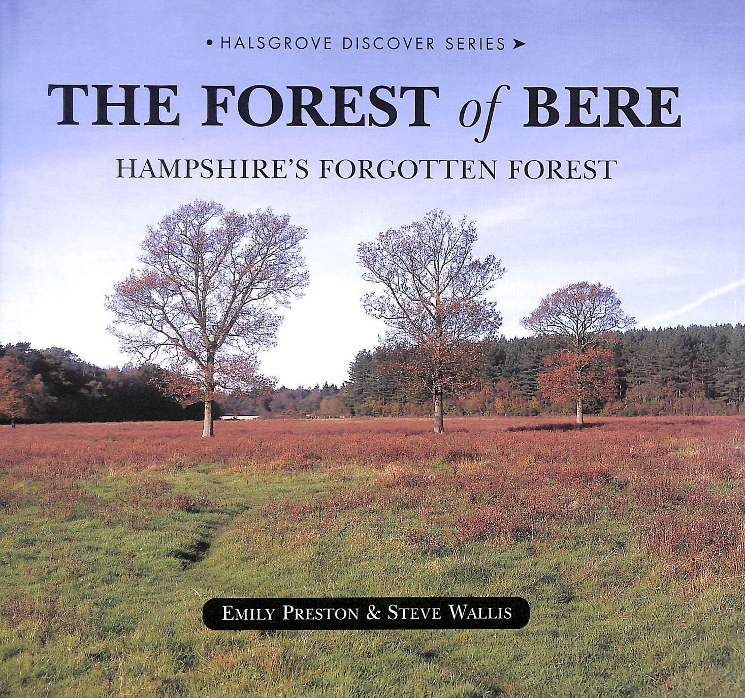 The Forest of Bere: Hampshire's Forgotten Forest